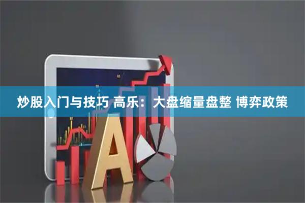 炒股入门与技巧 高乐:大盘缩量盘整 博弈政策